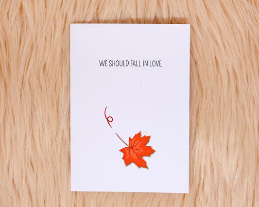 We should fall in love